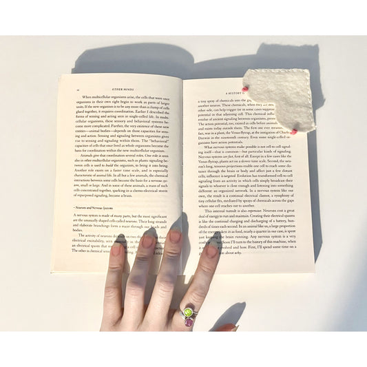 original handmade boobs bookmark from charlotte rose