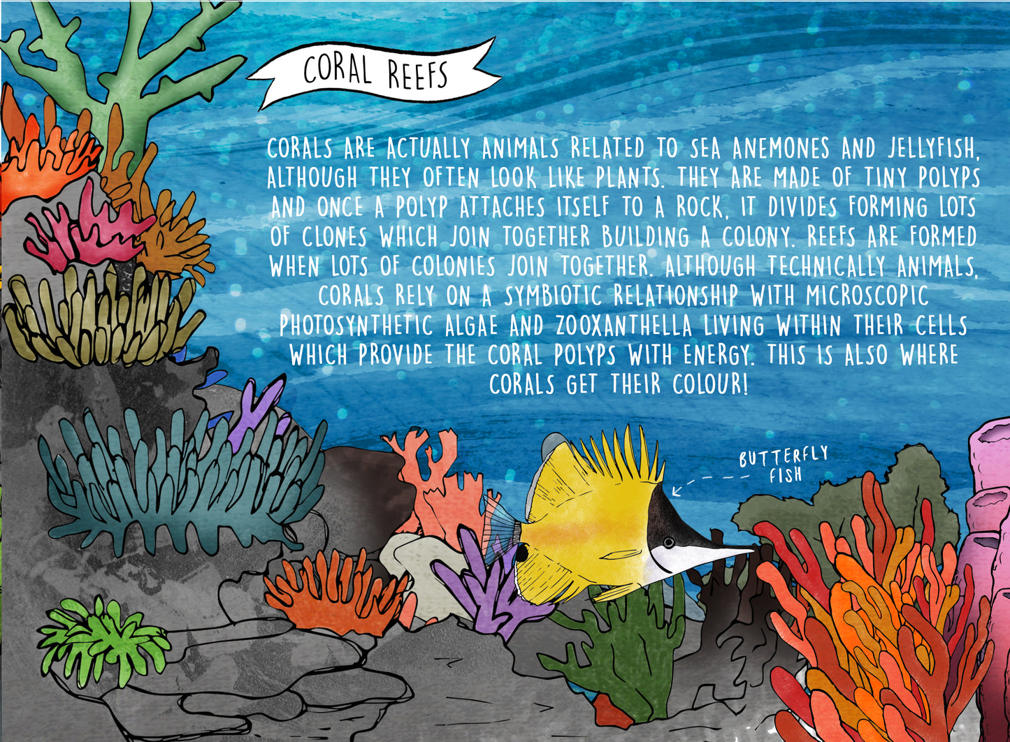 original educational book zine about sea life coral reef