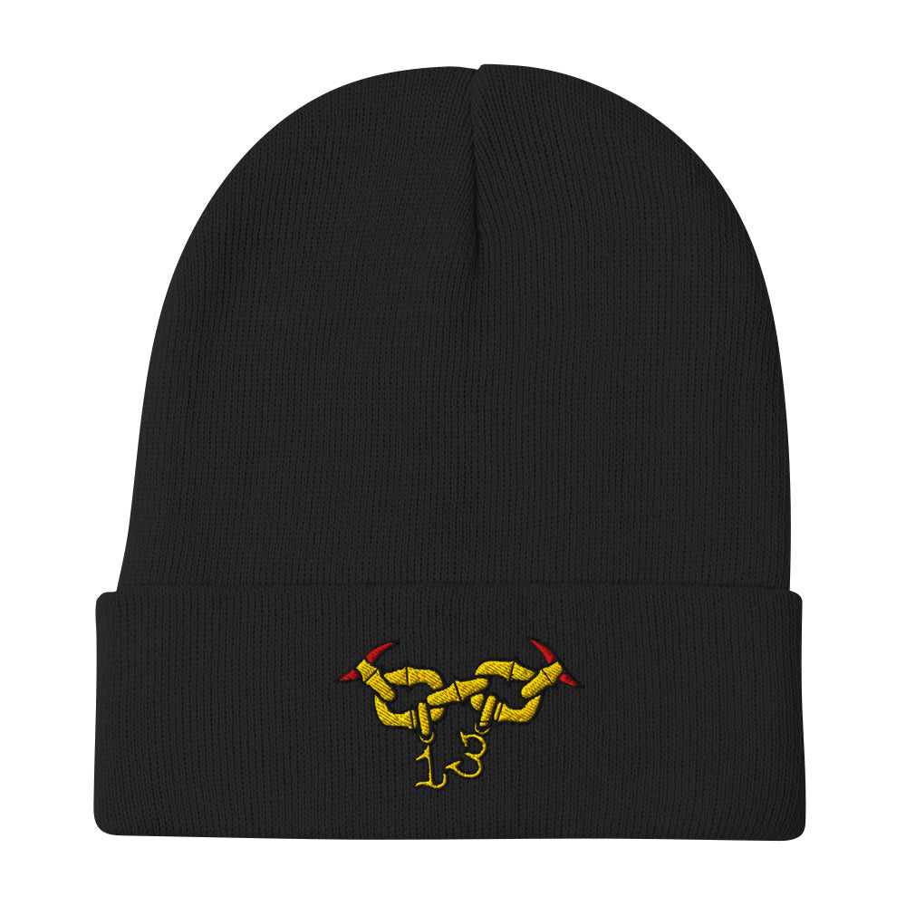original gold chain lucky 13 embroidered beanie by charlotte rose