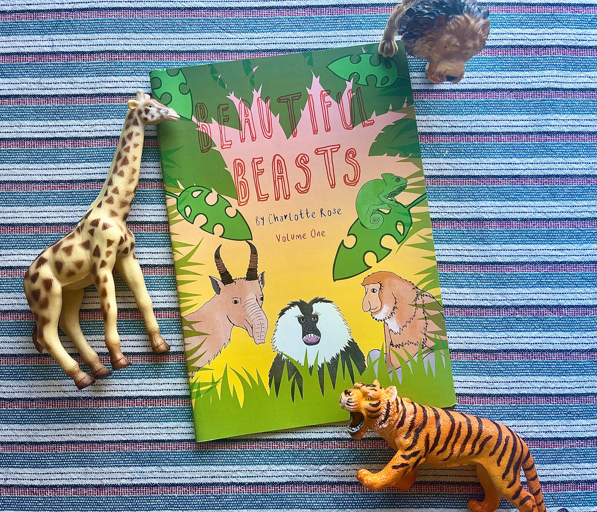 original educational book zine about animals