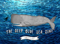original educational book zine about sea life 