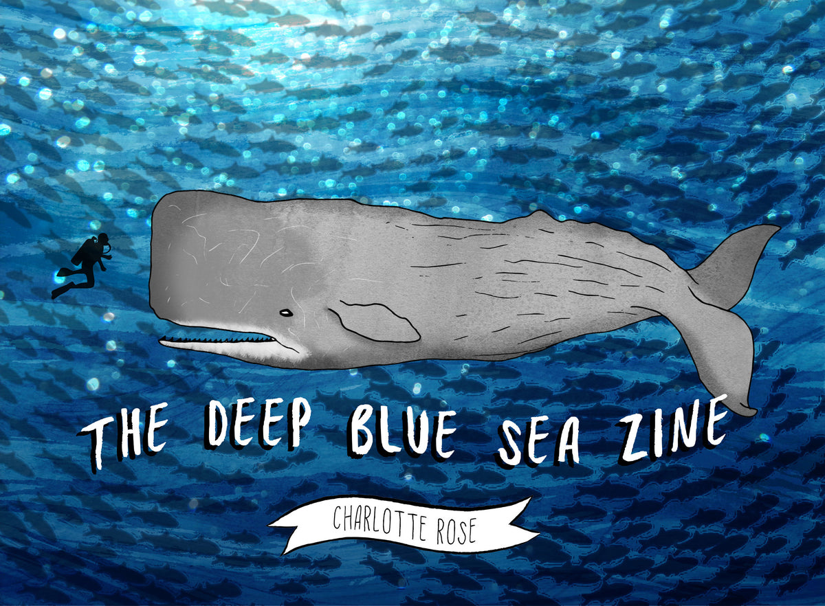original educational book zine about sea life 